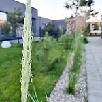 Sea House - Mano Jura 2 Kunigiskiai - By Hello Sea Homes Apartment *