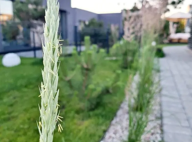 Sea House - Mano Jura 2 Kunigiskiai - By Hello Sea Homes アパート *